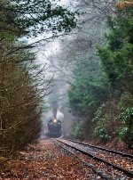 CNJ 113 working an uphill grade just south of Westwood Junction